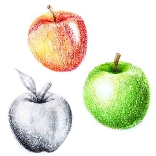 simple apple drawing