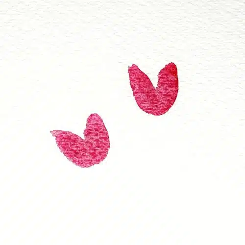 To learn how to paint watercolour tulips, you must start by loading up your brush with red pigment. Then, paint two rounded V shapes sides by side. Paint two sets of these shapes on your watercolour paper.