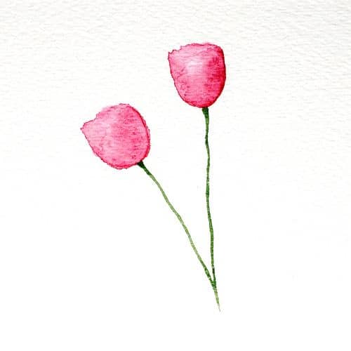 After painting two tulips on your watercolour paper, rinse off your brush and load it up with green pigment. Use the tip of the paintbrush to draw two stems that are coming out from the bottom of the tulip.