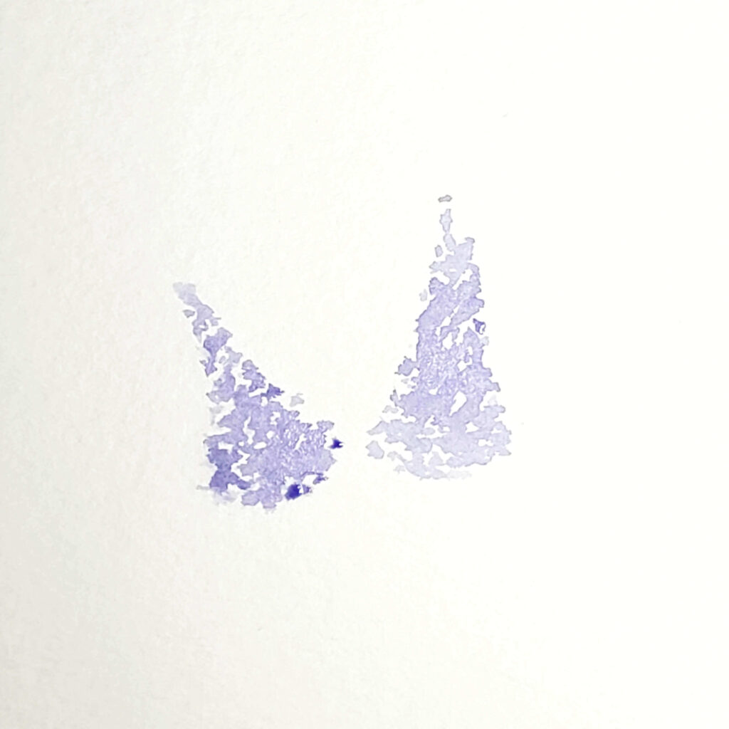 As you learn how to paint lilac in watercolour, you need to paint two triangle shapes that represent the flowers. Paint two of them side-by-side on your watercoloru paper. Do this by using the wet-on-dry technique to create small dabs.