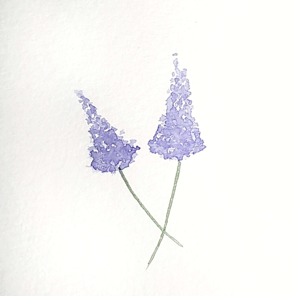 The fourth step in the watercolour lilac tutorial is to draw the stems. So, load up your paintbrush with green pigment. Then, use the fine tip of the brush to carefully draw two long, thin stems that start at the base of each lilac.