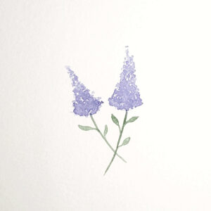 The fifth and final step in the watercolour lilac tutorial is to draw some leaves on the stems To do this, load up your paintbrush with more green pigment. Then, apply soft pressure on the belly of the brush to create small oval shapes. These shapes represent the leaves. Paint several leaves on each stem.