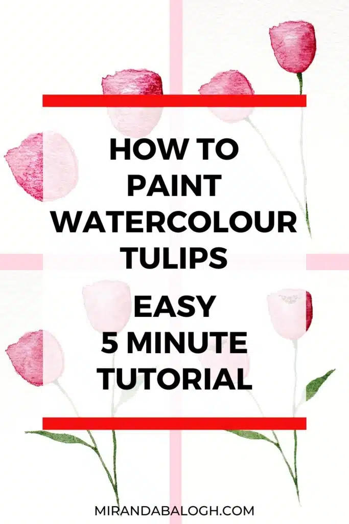 In this step-by-step tutorial, you learn how to paint watercolour tulips for beginners. Painting these beautiful spring flowers is easy, especially when you learn how to paint a tulip in watercolours by using a minimalist watercolour style. By the time you’ve finished this tutorial, you’ll have the ability to paint lovely watercolour tulips in only 5 minutes!