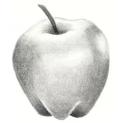 There is an image of an apple drawn by Miranda Balogh. The apple is drawn with graphite pencils. Drawing apples is a get way to learn how to get better at drawing.